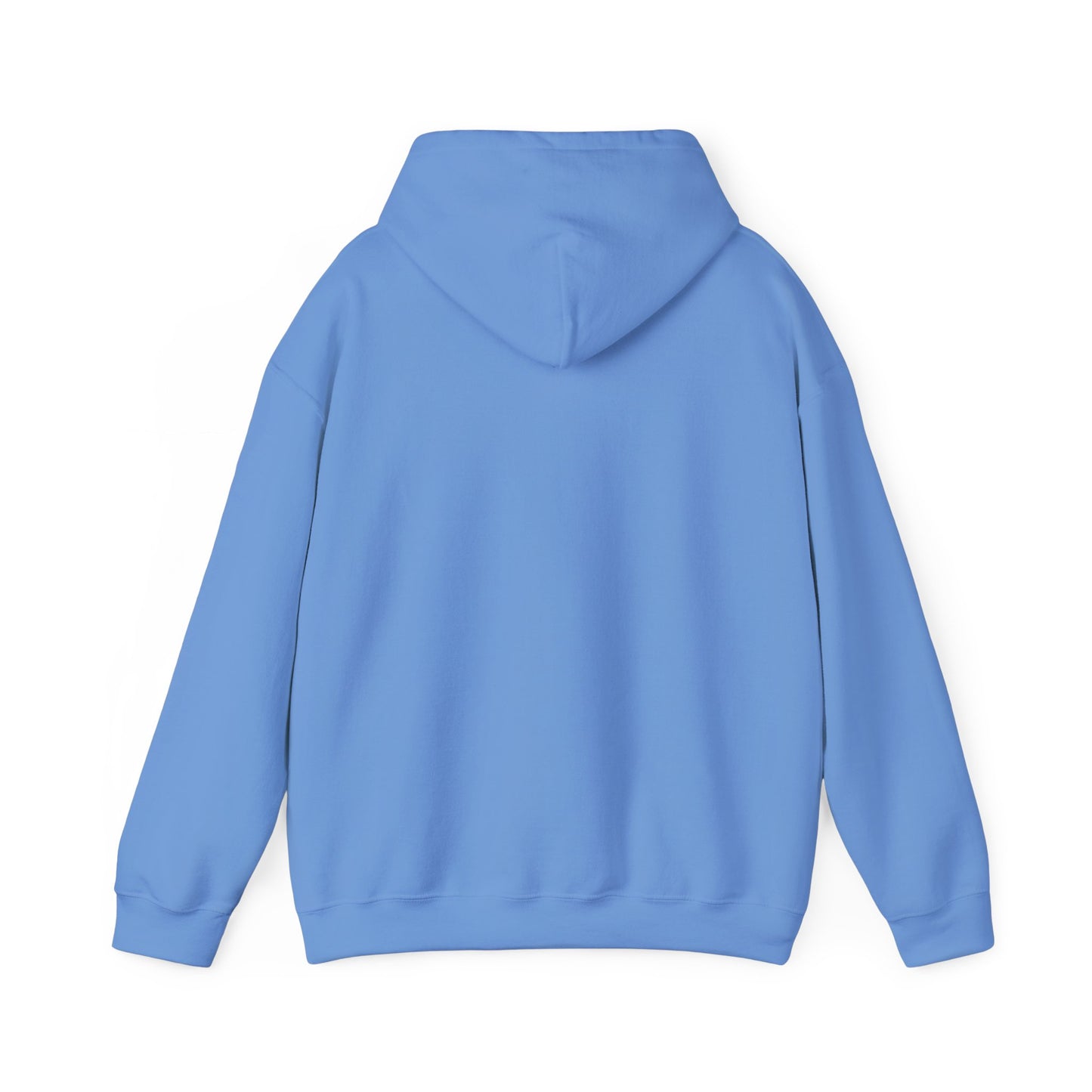 Battery Life of a Coder Hoodie, Programmer Gift, Coding Apparel, Techie Fashion