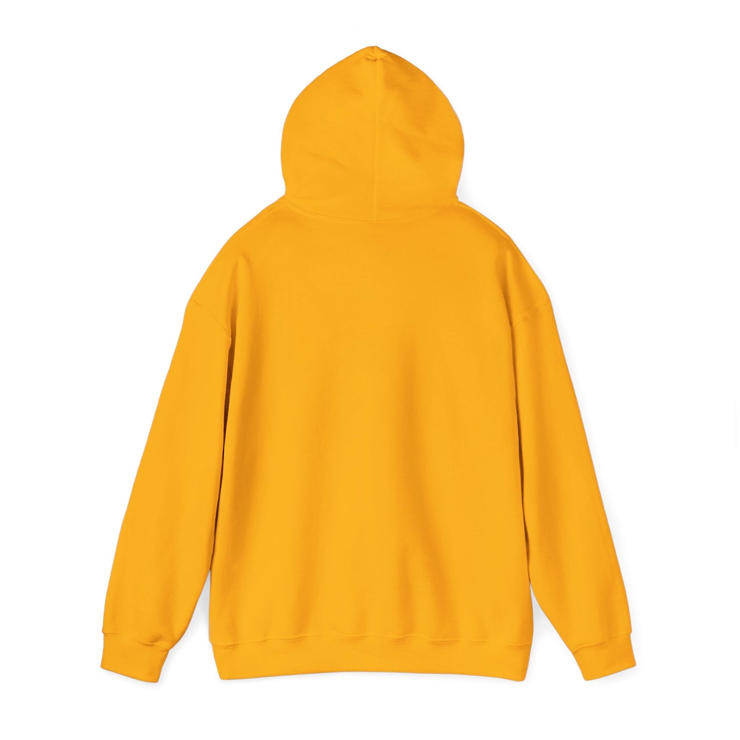 Battery Life of a Coder Hoodie, Programmer Gift, Coding Apparel, Techie Fashion
