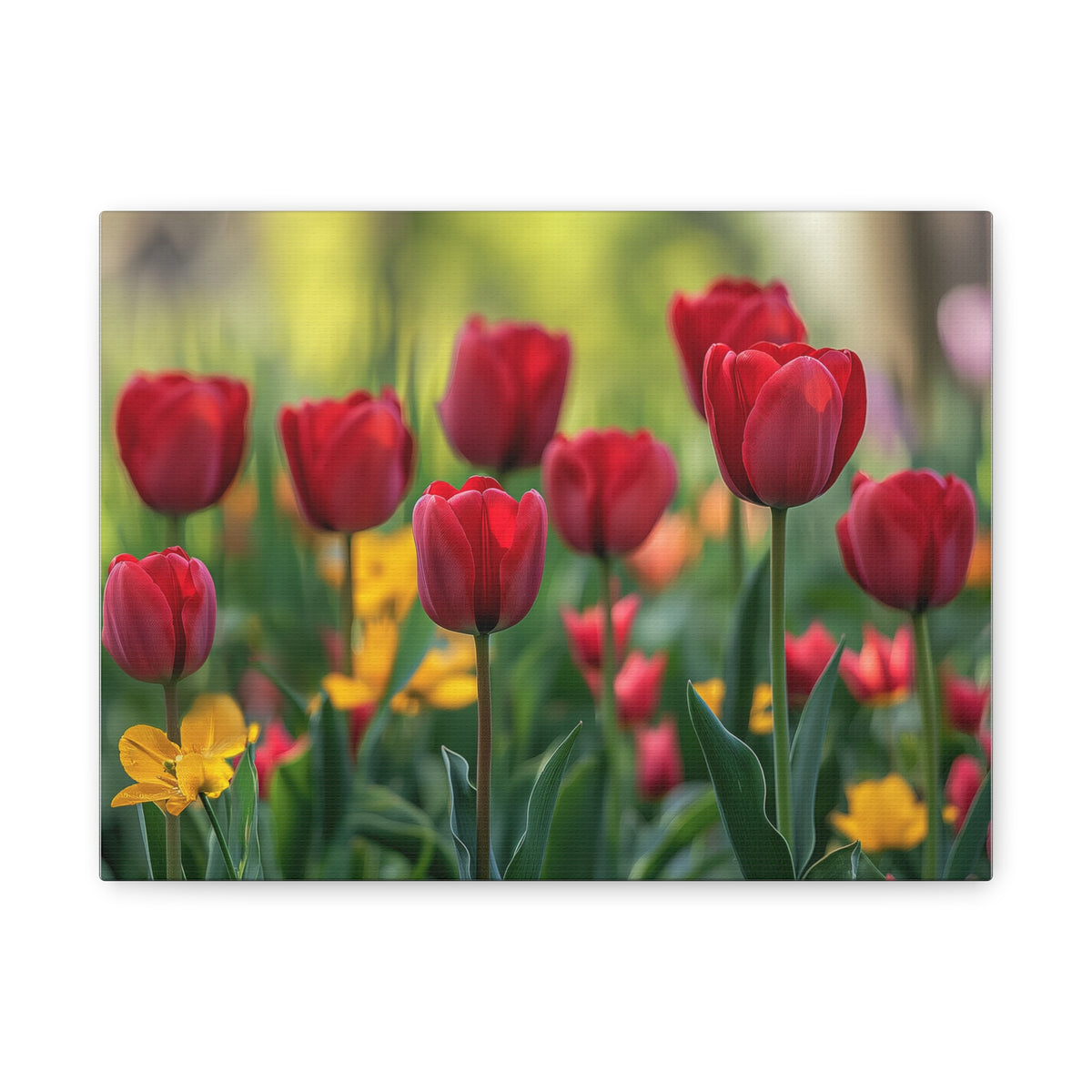 Tulips Canvas Wall Art