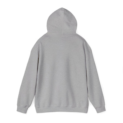 Battery Life of a Coder Hoodie, Programmer Gift, Coding Apparel, Techie Fashion