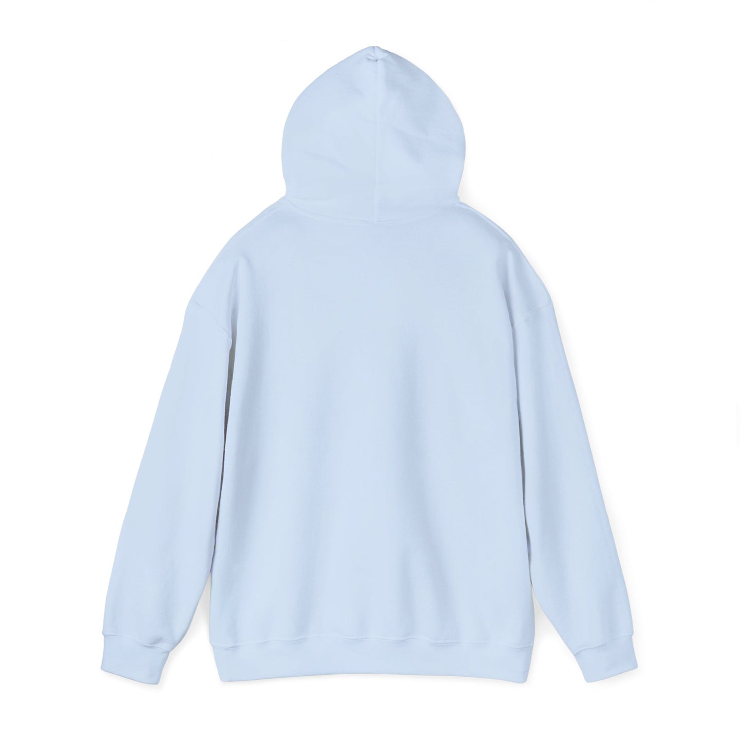 Battery Life of a Coder Hoodie, Programmer Gift, Coding Apparel, Techie Fashion