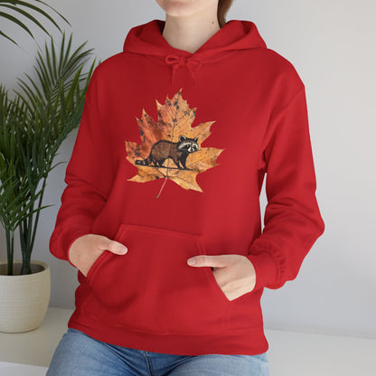 Raccoon Design Hoodie - Unisex Heavy Blend™ Hooded Sweatshirt