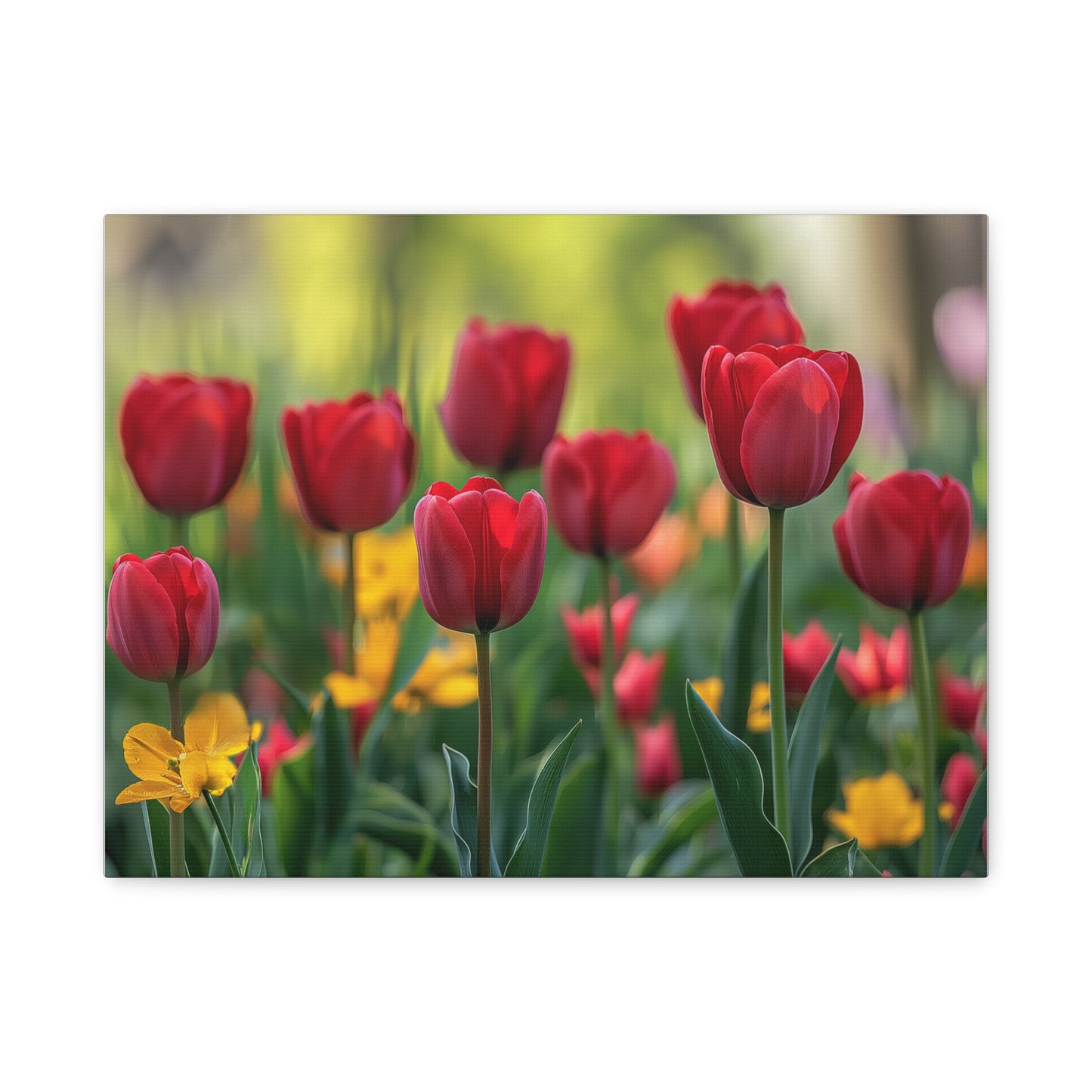Tulips Canvas Wall Art