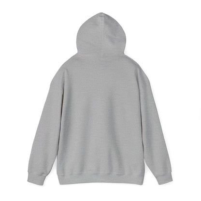 Raccoon Design Hoodie - Unisex Heavy Blend™ Hooded Sweatshirt