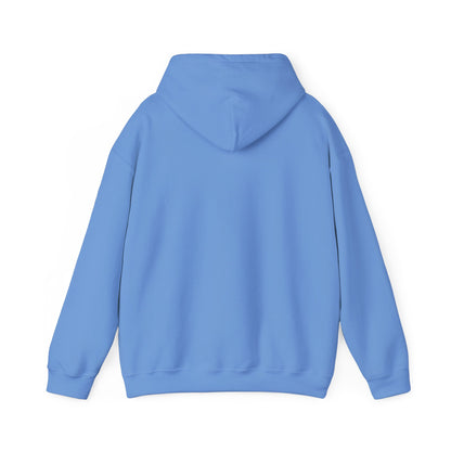 Battery Life of a Coder Hoodie, Programmer Gift, Coding Apparel, Techie Fashion