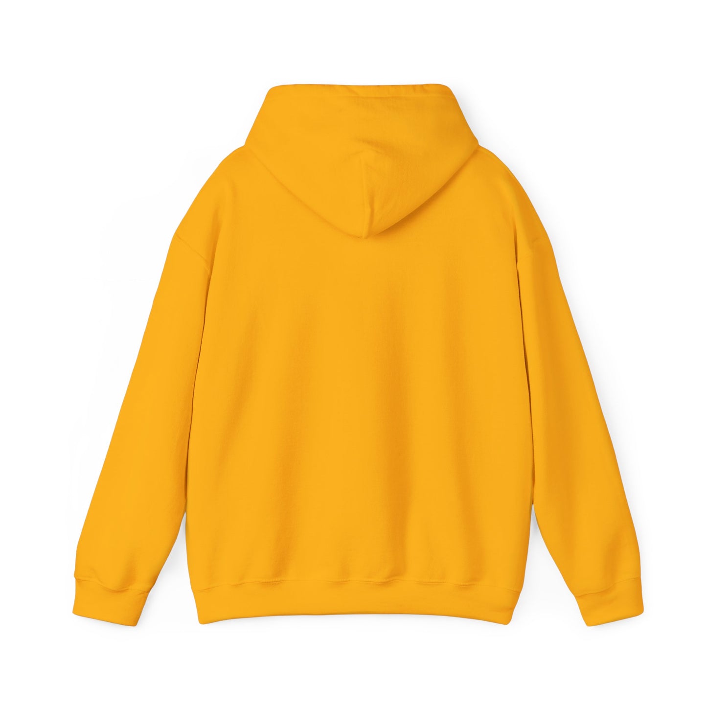 Battery Life of a Coder Hoodie, Programmer Gift, Coding Apparel, Techie Fashion