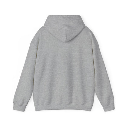 Battery Life of a Coder Hoodie, Programmer Gift, Coding Apparel, Techie Fashion