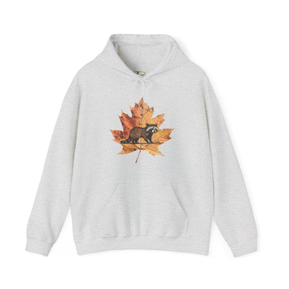 Raccoon Design Hoodie - Unisex Heavy Blend™ Hooded Sweatshirt