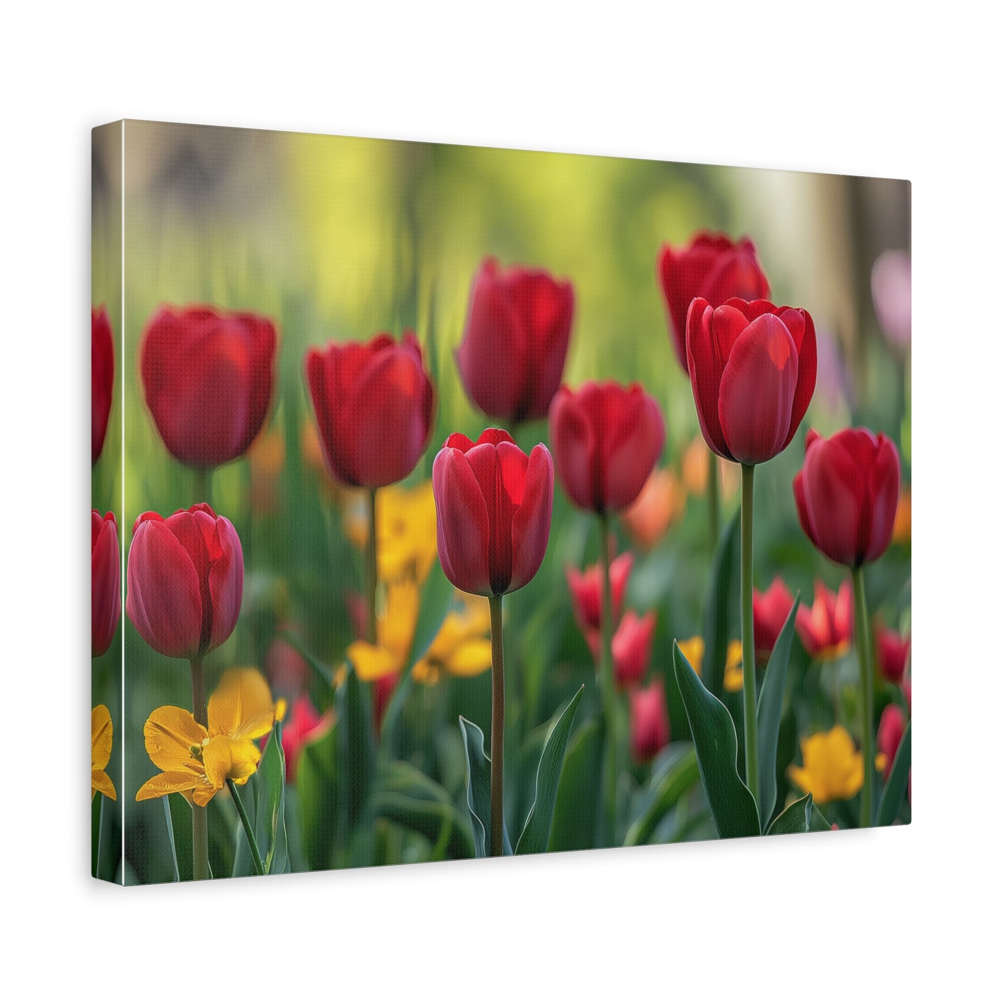 Tulips Canvas Wall Art