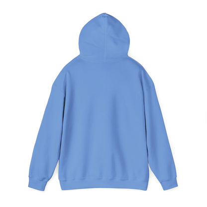 Battery Life of a Coder Hoodie, Programmer Gift, Coding Apparel, Techie Fashion