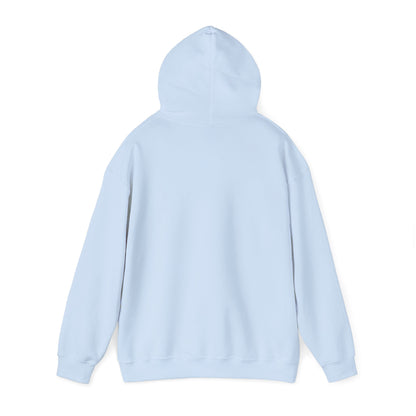 Raccoon Design Hoodie - Unisex Heavy Blend™ Hooded Sweatshirt