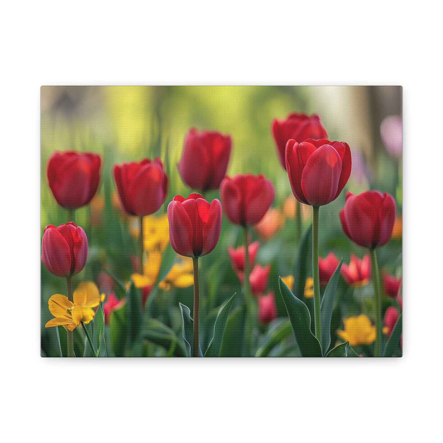 Tulips Canvas Wall Art