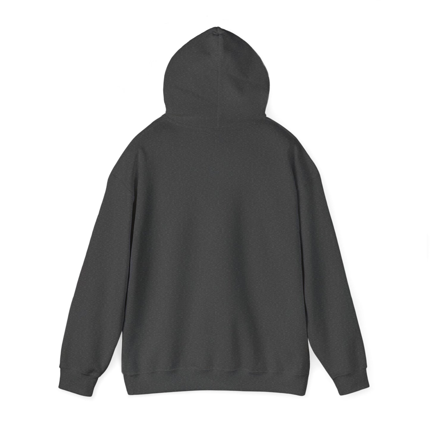 Raccoon Design Hoodie - Unisex Heavy Blend™ Hooded Sweatshirt
