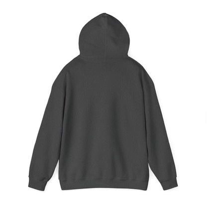 Raccoon Design Hoodie - Unisex Heavy Blend™ Hooded Sweatshirt